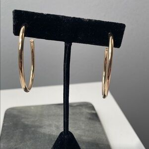 Elegant Gold Hoop Earrings